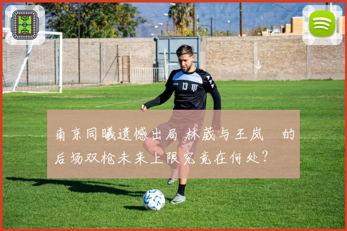 南京同曦遗憾出局 林葳与王岚嵚的后场双枪未来上限究竟在何处?