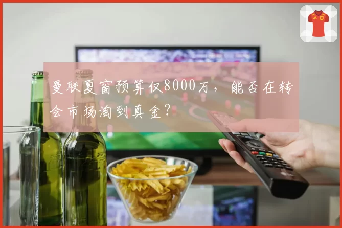 曼联夏窗预算仅8000万，能否在转会市场淘到真金？