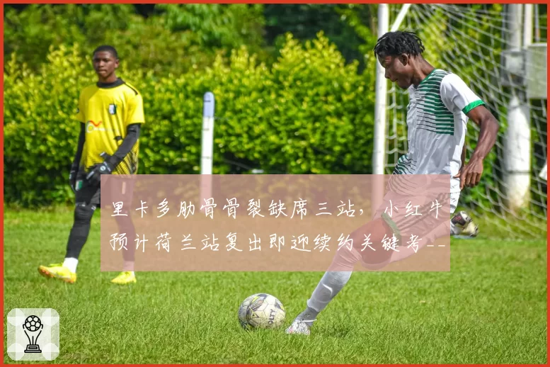 里卡多肋骨骨裂缺席三站，小红牛预计荷兰站复出即迎续约关键考__br_
