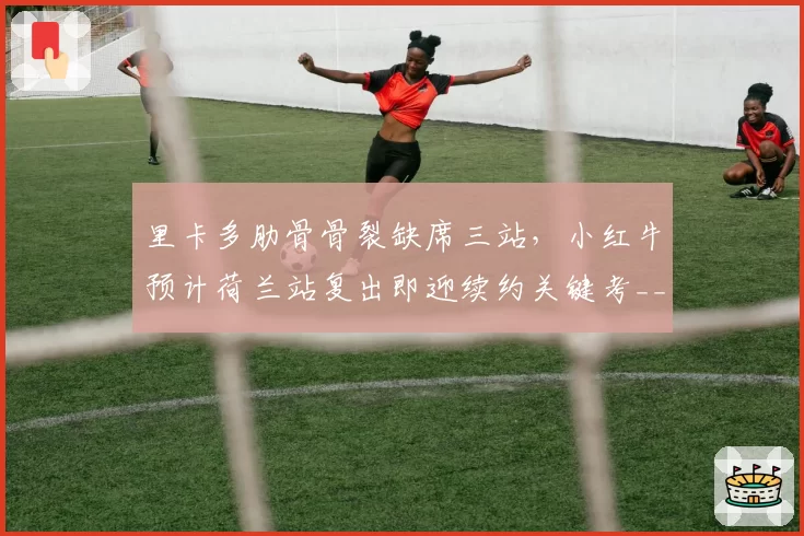 里卡多肋骨骨裂缺席三站，小红牛预计荷兰站复出即迎续约关键考__br_