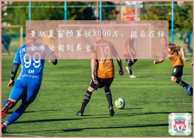 曼联夏窗预算仅8000万，能否在转会市场淘到真金？